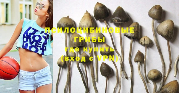 эйфоретик Бугульма