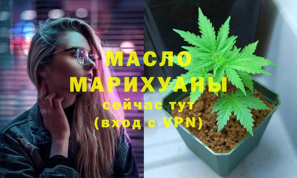 Альфа ПВП Бородино