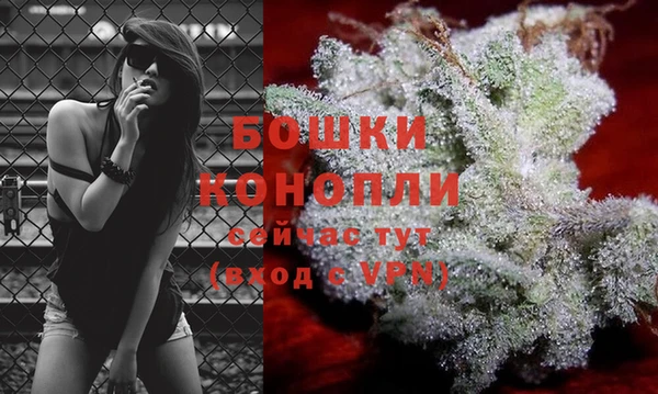 Альфа ПВП Бородино