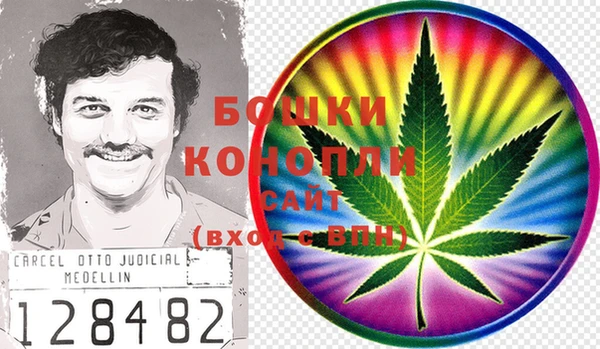 PSILOCYBIN Богородицк