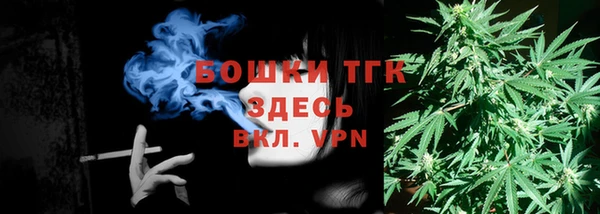 тгк Бронницы
