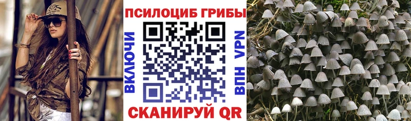 Галлюциногенные грибы мухоморы  Городовиковск 